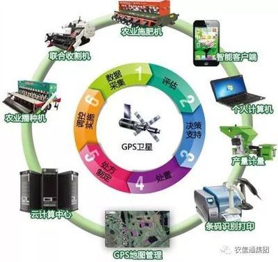 農(nóng)業(yè)大數(shù)據(jù)賦能現(xiàn)代農(nóng)業(yè) 計(jì)算機(jī)應(yīng)用驅(qū)動下的跨越式發(fā)展