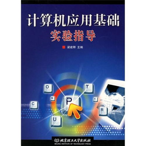 計(jì)算機(jī)應(yīng)用基礎(chǔ)實(shí)驗(yàn)指導(dǎo)（第二版）