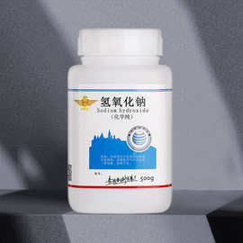 廣東氫氧化鈉生產廠 產業概覽、技術特點與市場展望